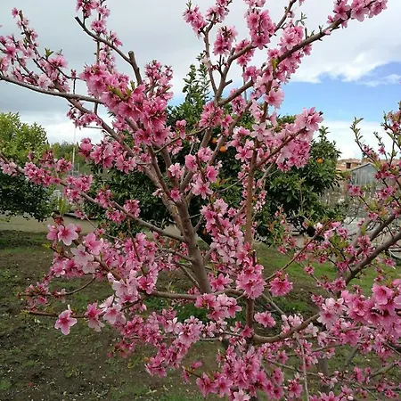 Casa Di Hilde * 希克利